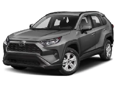 2019 Toyota RAV4 Image# 1