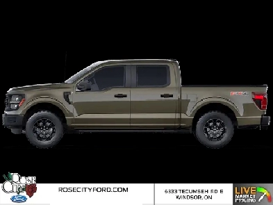 2025 Ford F-150 STX Image# 1