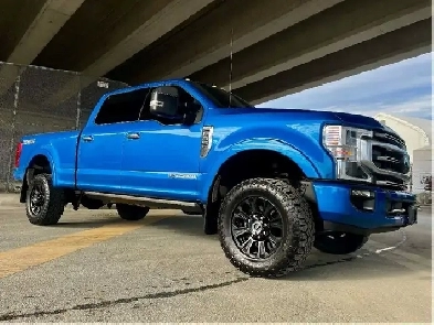 2020 Ford F-350 Platinum TREMOR 4WD DIESEL SUNROOF NAVI 360CAM Image# 1