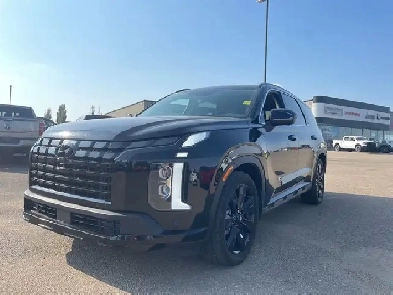 2024 Hyundai Palisade Urban Image# 1