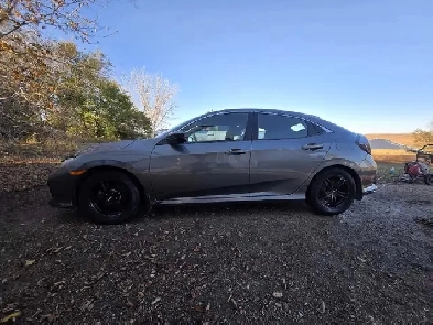 2017 Honda Civic Hatchback Image# 1