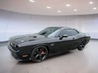 Dodge Challenger Srt8 2009 Image# 1