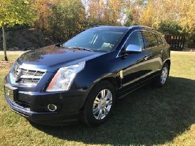 Cadillac SRX 2010 Image# 1