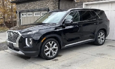 2021 Hyundai palisade 8 passenger Image# 1