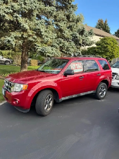 2011 Red Ford Escape Image# 1
