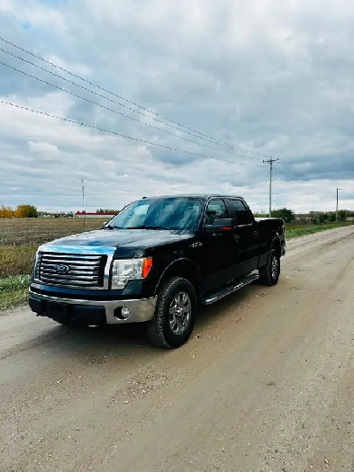 2010 Ford F-150 , Safetied Image# 1