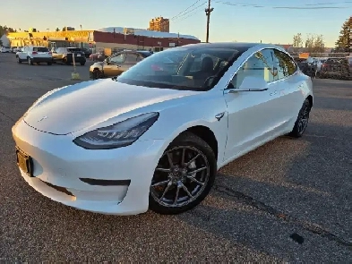 2020 Tesla Model 3 Standard Range Plus RWD Image# 1