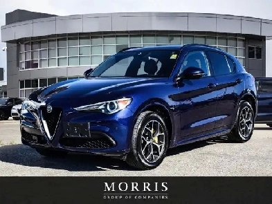 2020 Alfa Romeo Stelvio Ti Image# 1