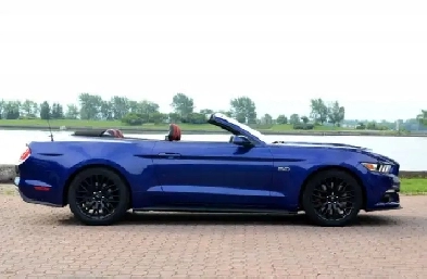 Mustang gt premium convertible Image# 1