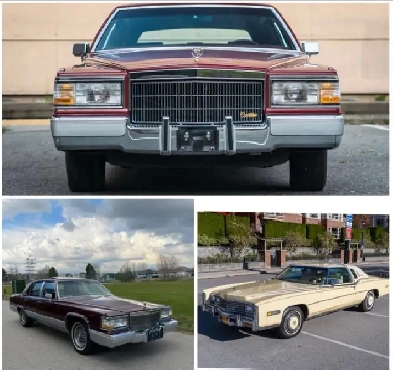 Looking for Cadillac Image# 1