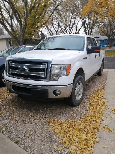 2014 Ford F-150 XLT 4WD 5.0 l automatic Image# 1