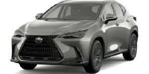 2022 Lexus NX NX 250 Image# 1