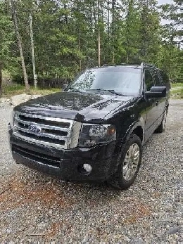 Ford Expedition Image# 1