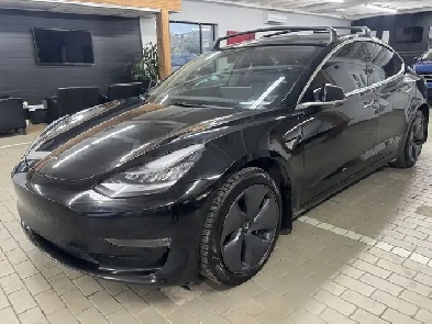 2019 Tesla Model 3 Standard Range Plus RWD Image# 1