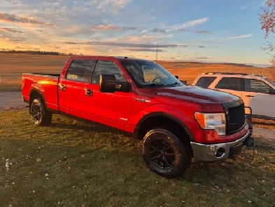 2013 f150 Image# 1