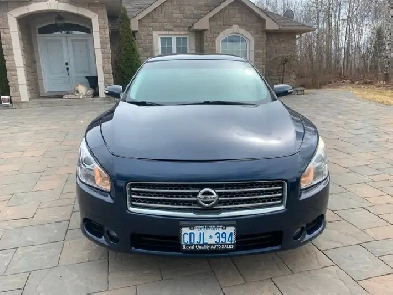 Detailed 2013 Maxima Image# 1