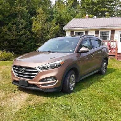 2017 Hyundai Tucson Image# 1