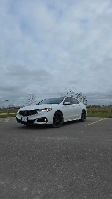 2020 Scura TLX Aspec Image# 1
