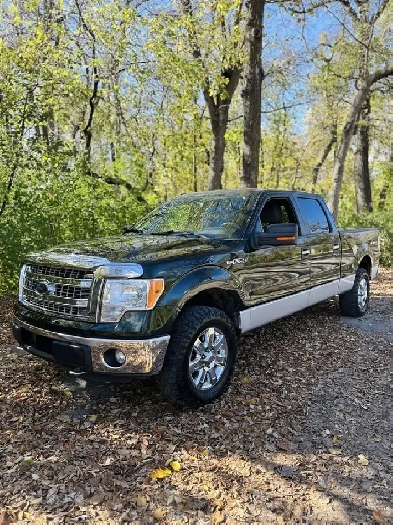 2013 Ford F-150 New Safety Low Kms Image# 1