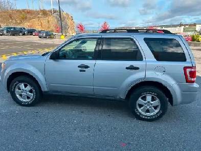 2011 Ford Escape XLT Image# 1
