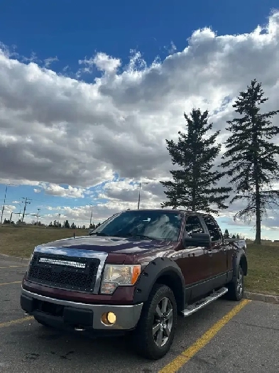 2010 F150 4X4 Supercrew Image# 1