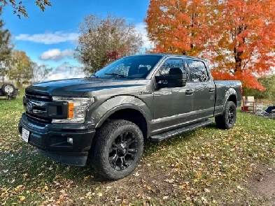 2019 F-150 XLT, 5.0 L V8, 4x4, Heated Seats Image# 1