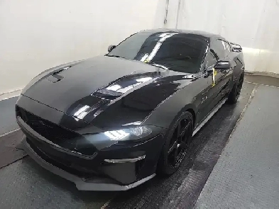 2019 Ford Mustang GT Fastback Image# 1