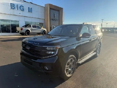 2025 Ford Expedition Active Image# 1