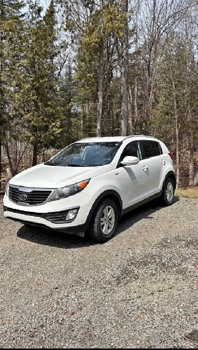 Wanted: Hyundai & Kia with blown engine Image# 1