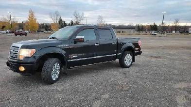 2012 Ford F150 Platinum Image# 1