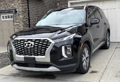 2021 Hyundai palisade Image# 1