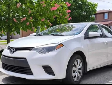 Toyota Corolla 2014 Image# 1