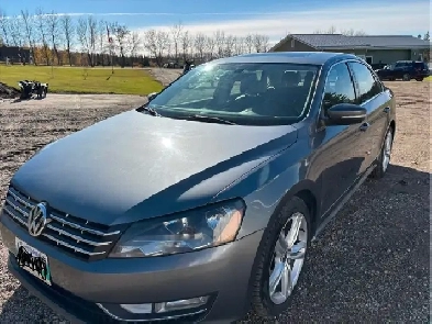 2013 Volkswagon Passat Image# 1