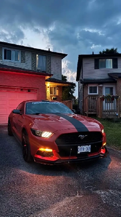 Ford Mustang Image# 1