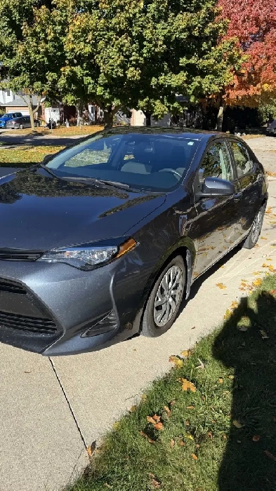 2019 Toyota Corolla LE (67,850kms) Image# 1