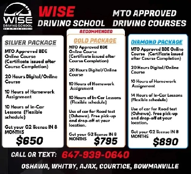 Driving Lessons Image# 1