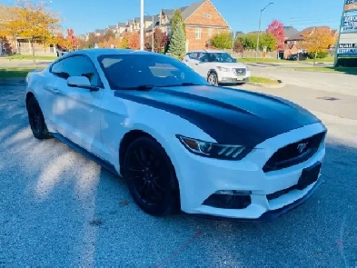 2015 Ford Mustang 2dr Fastback EcoBoost Image# 1