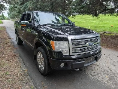 2009 Ford F-150 Platinum Image# 1