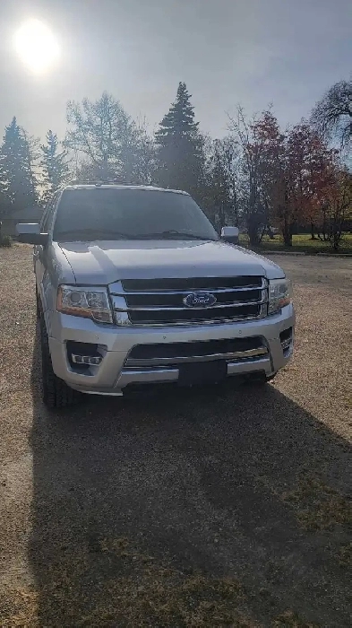 2015 Ford Expedition Max Limited Image# 1