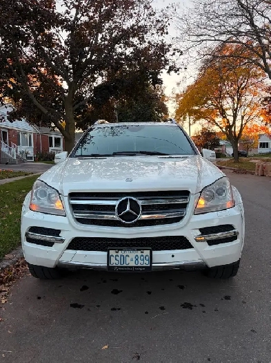 Mercedes-Benz Gl 350 BlueTEC Image# 1