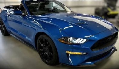 Ford Mustang EcoBoost Premium 2019 - Automatique Image# 1