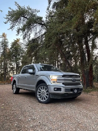 2018 F150 Full Load Image# 1