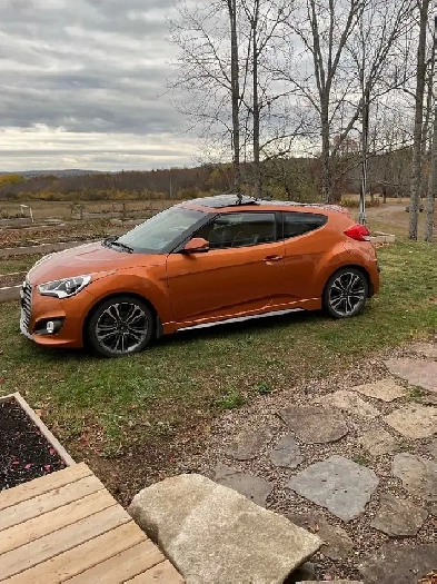 2016 Hyandai Veloster Image# 1