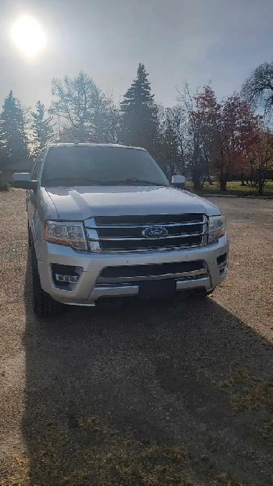 2015 Ford Expedition max limited Image# 1