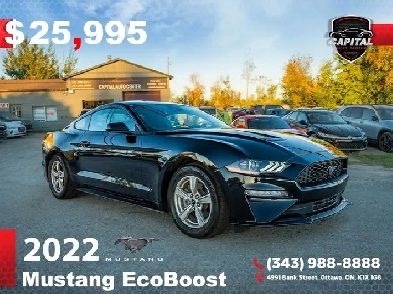 2022 Ford Mustang EcoBoost Image# 1