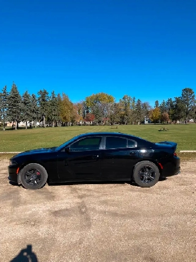 2016 Dodge Charger New Safety Image# 1