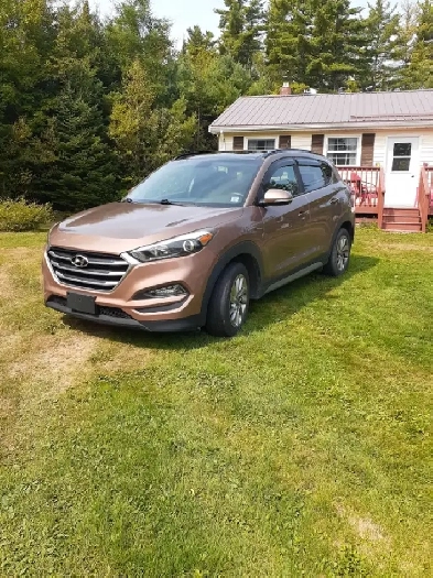 2017 Hyundai Tucson Image# 1
