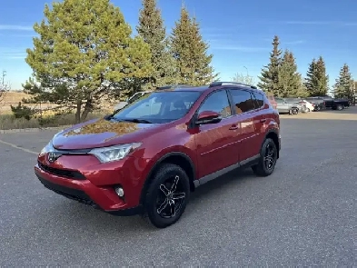 2017 Toyota RAV4 XLE Image# 1