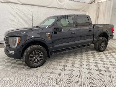 2021 Ford F-150 Image# 1