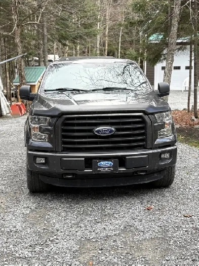Ford F-150 2015 Image# 1
